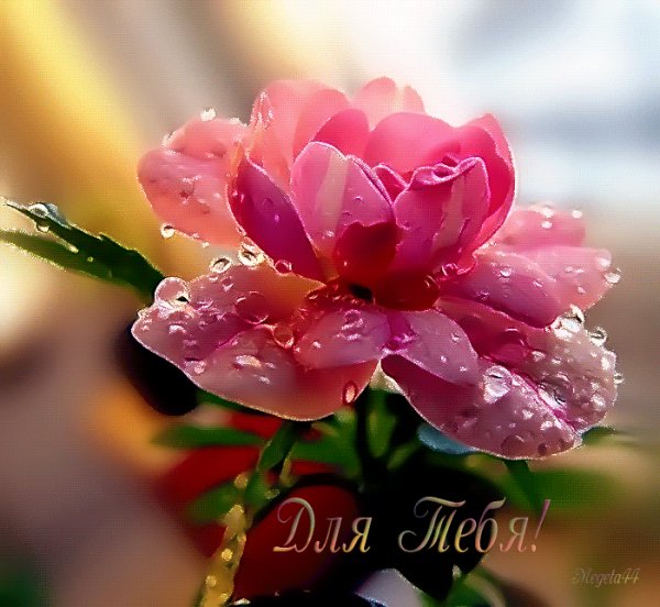 0 180fdd b32384ed orig