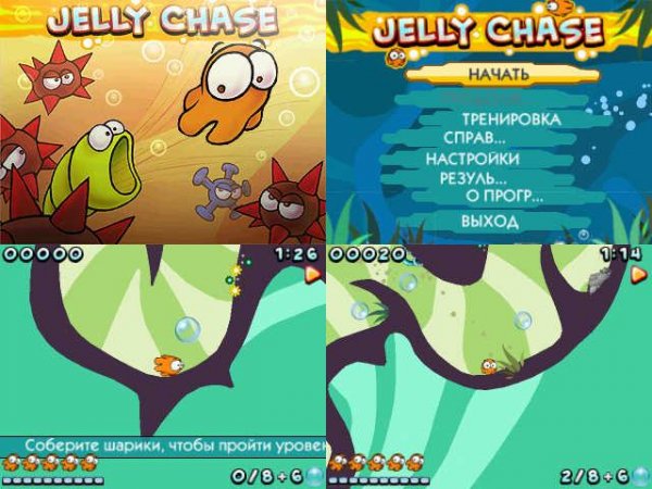 Jelly Chase v.1.00(0)
