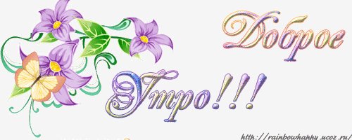 IMG 20181206 094308