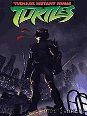 teenage mutant ninja turtles-240x320-Tou