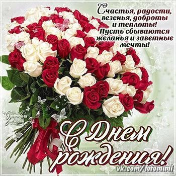 HqdU6YQKfjc