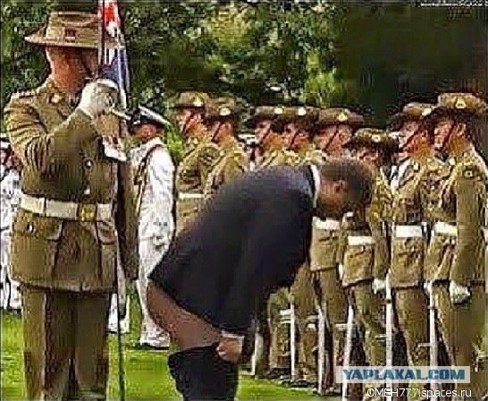 Пидарошенка