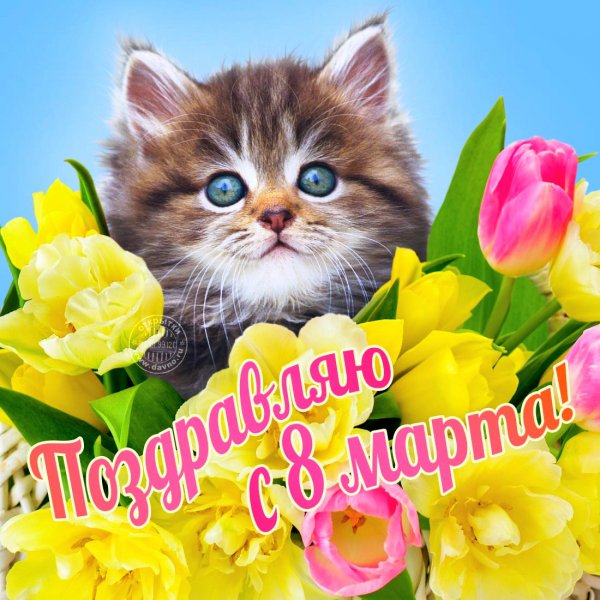 8 марта