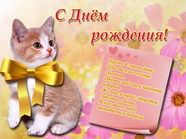 IMG 20181228 987125