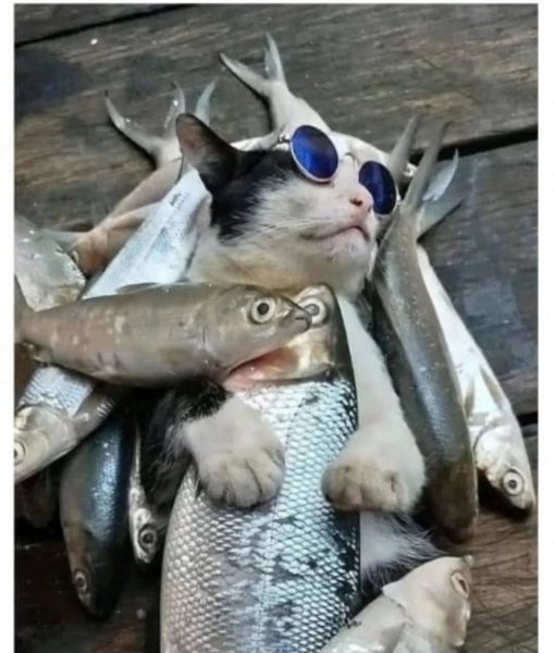 FB IMG 1776447186256