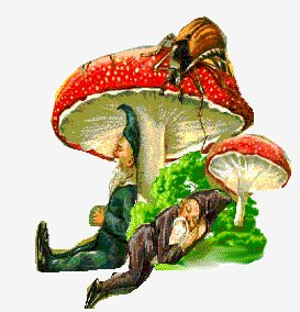 f4a5c7bc13a4