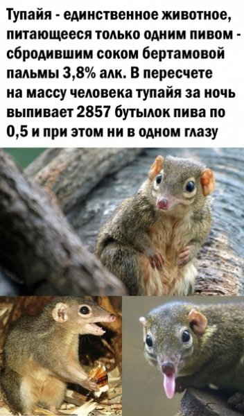 nmpWbQBrgyI