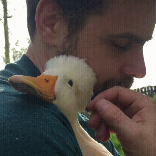 Doc123591675 464566625