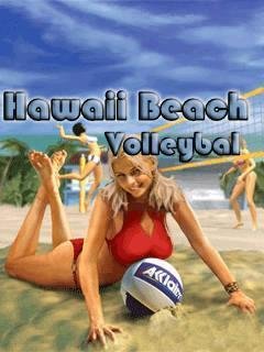 HawaiiBeachVolleyballRUS