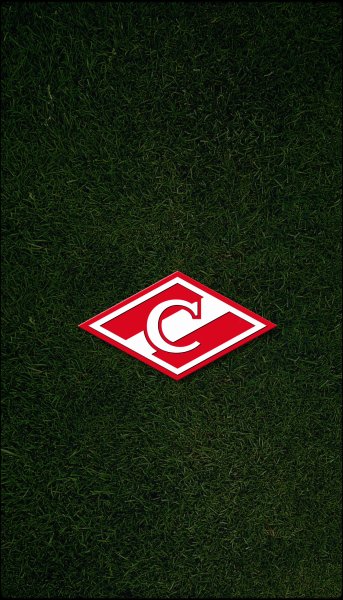 fcsm 1