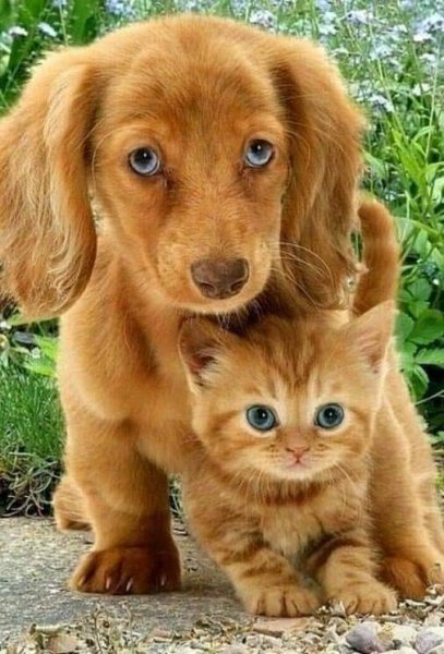 FB IMG 1715626172661