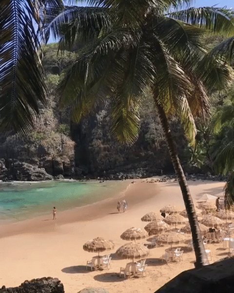 красота