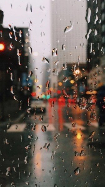 file_95105334