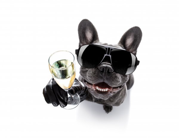 Shutterstock 718898275