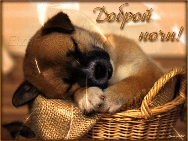 Доброй Ночи!