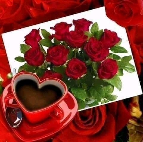 FB IMG 16189544727783140