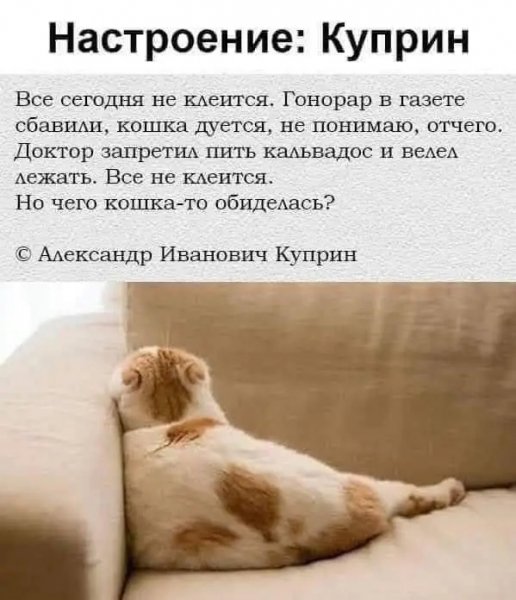 file_102601817
