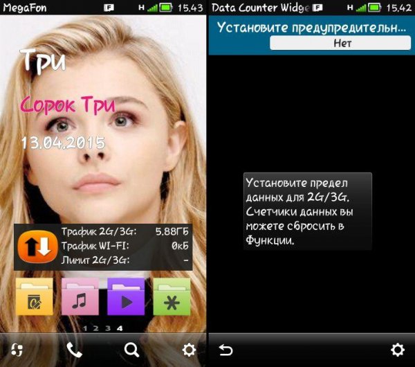 Data Counter Widget rus
