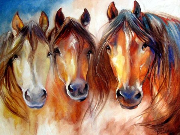 amigos three horses-976545