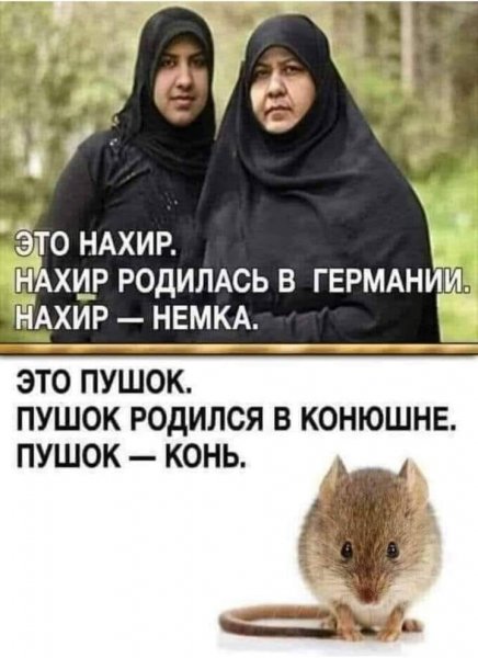 file_83381464