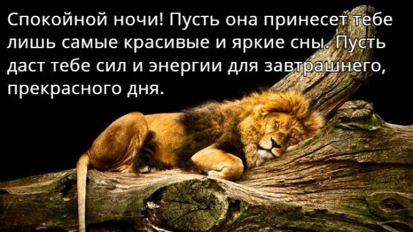 IMG 20181018 142525 093