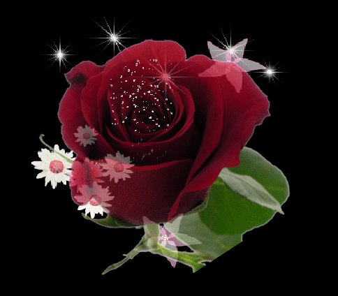 f277e9076c9a2af40c92e82e709