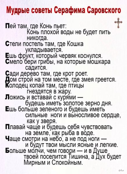 IMG 20241102 124153