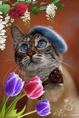 file_72774535