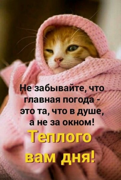 p.1200.1200.0