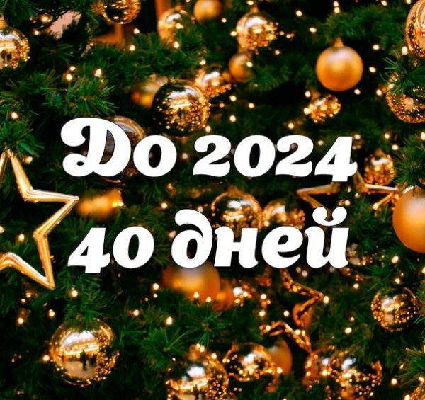 file_95119706