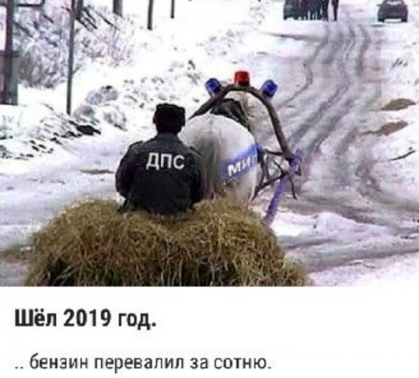 Wyol 2019 god