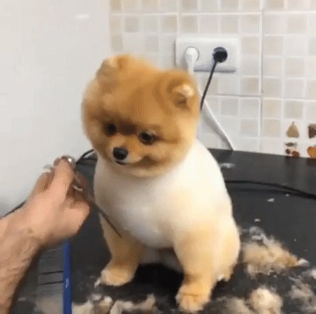 первая стрижка