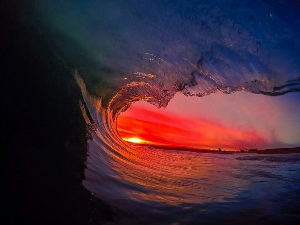 IMG 20150817 150809 39