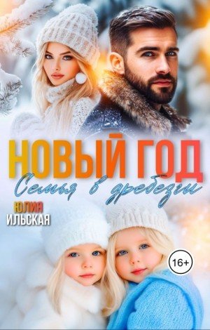 Ильская Юлия Новый год. Семья вдребезги (2025)