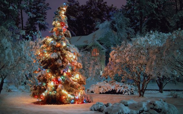 New year wallpapers 2015