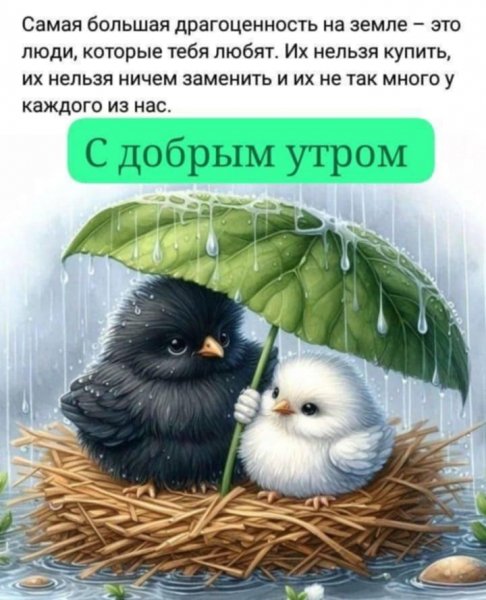 IMG-20251015-WA0003