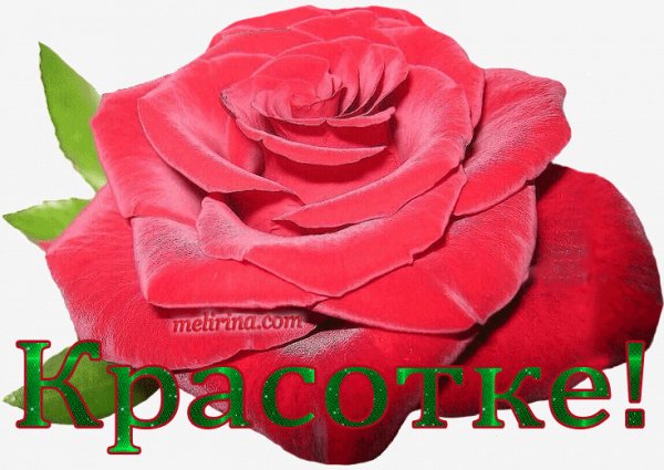 IMG 20250210 083136