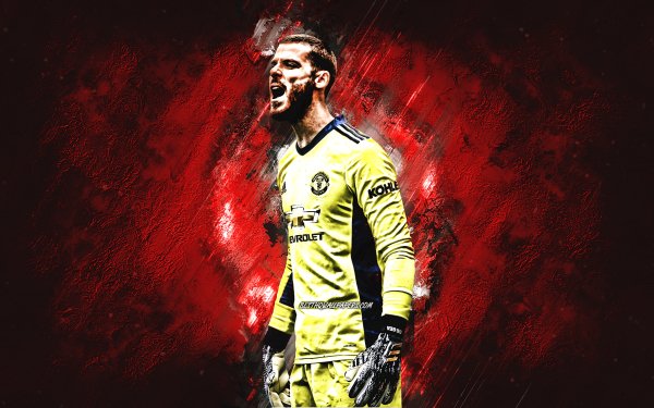 david-de-gea-manchester-united-fc-spanish-soccer-player-goa