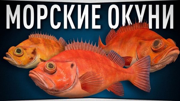 Морские окуни