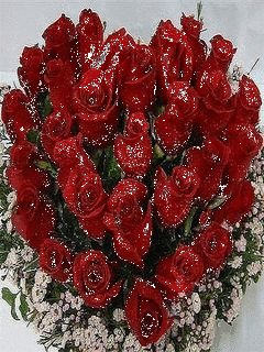 file_38339046