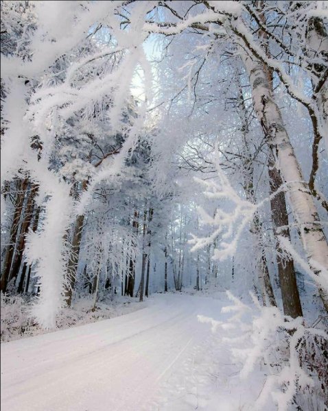 Screenshot 2021-11-12-08-14-35