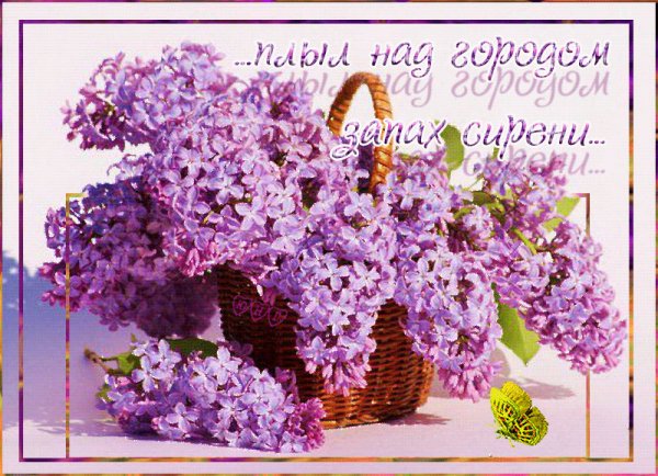 file_68788418