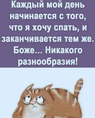 JxPsKKso1nM