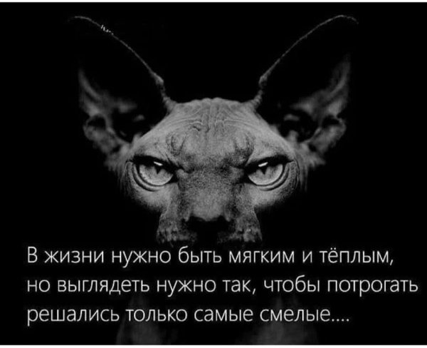 FB IMG 1778007233510