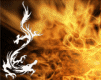 file_497578