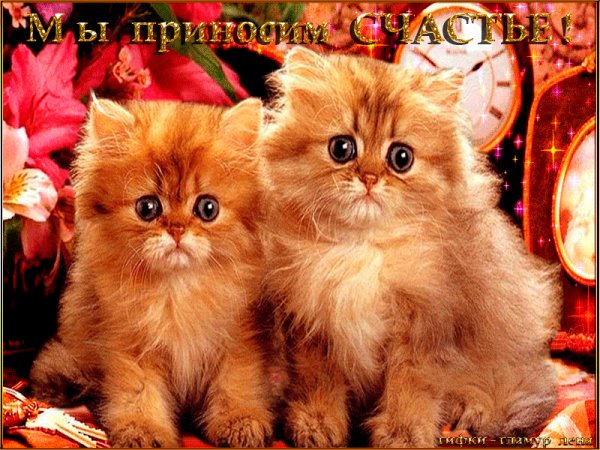 file_75366347