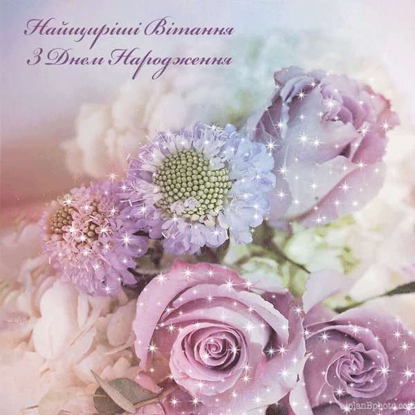 7b1da35295f404ebc1d47ee2420c8825