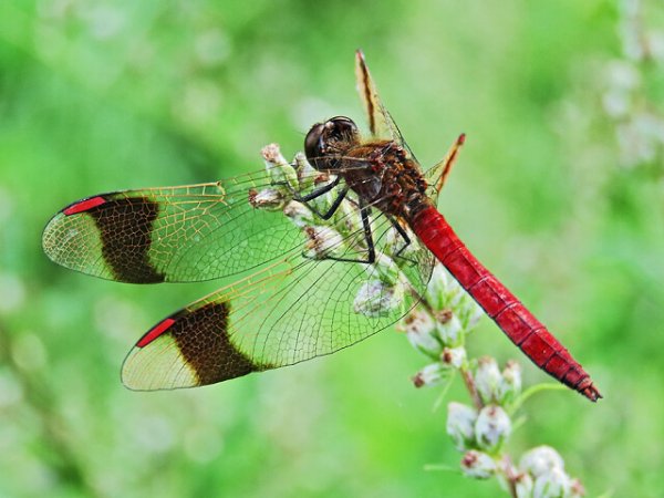 i - 2020-09-14T123113.793