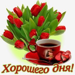 Хорошего дня