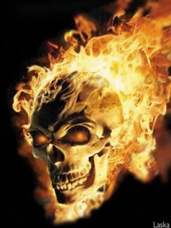 skull